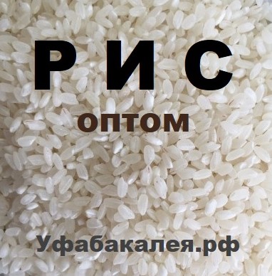 Рис оптом
